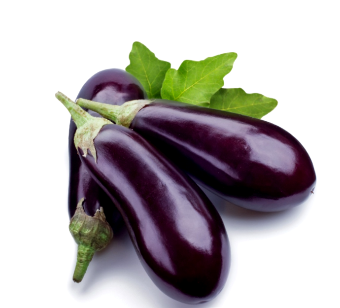 Brinjal Bottle Shape