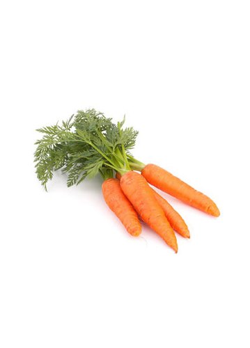 Carrot Ooty