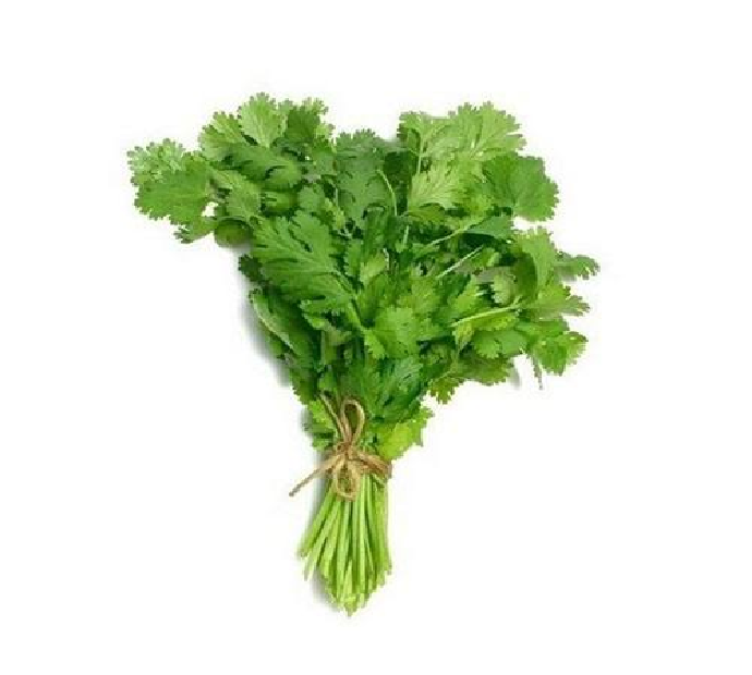 Coriander