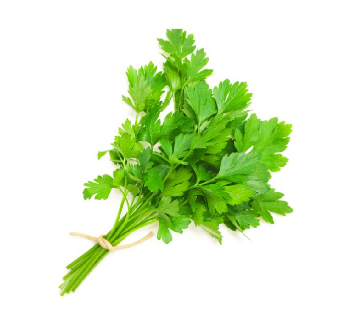 Coriander