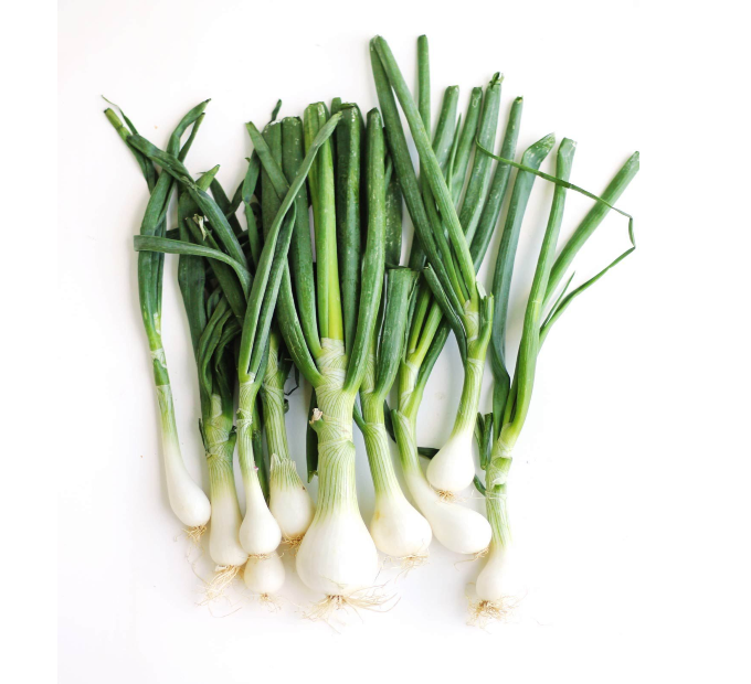 Spring Onion
